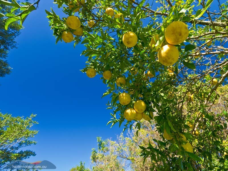 105 Sunrise Road, Eumundi QLD 4562