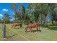 31 Hamilton Road, Lake Macdonald QLD 4563