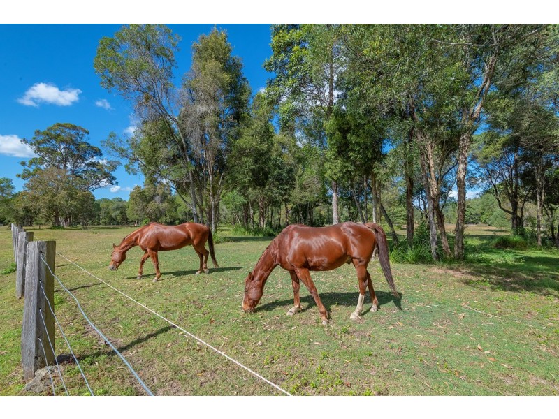 31 Hamilton Road, Lake Macdonald QLD 4563