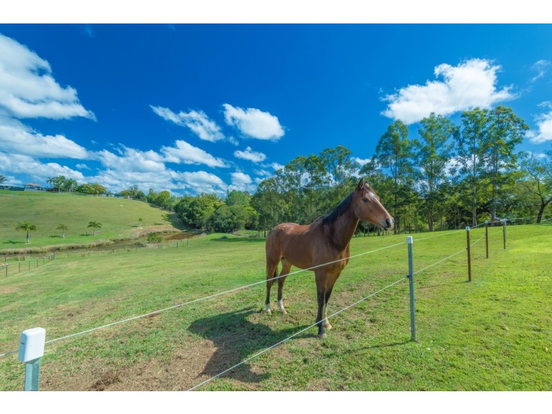 191 Lone Hand Road, Eumundi QLD 4562