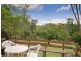 Cooroy QLD 4563