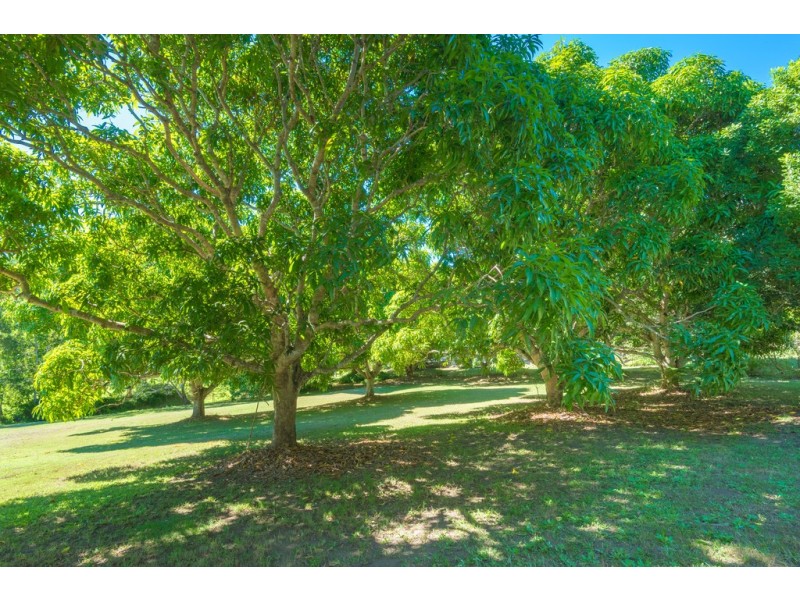 101 Duke Road, Doonan QLD 4562