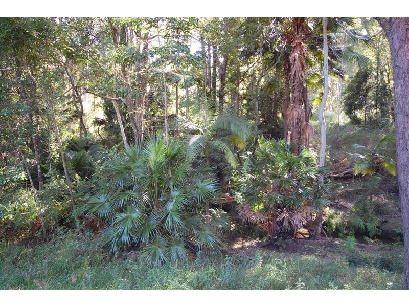 380 Cooroy Noosa Rd, Tinbeerwah QLD 4563