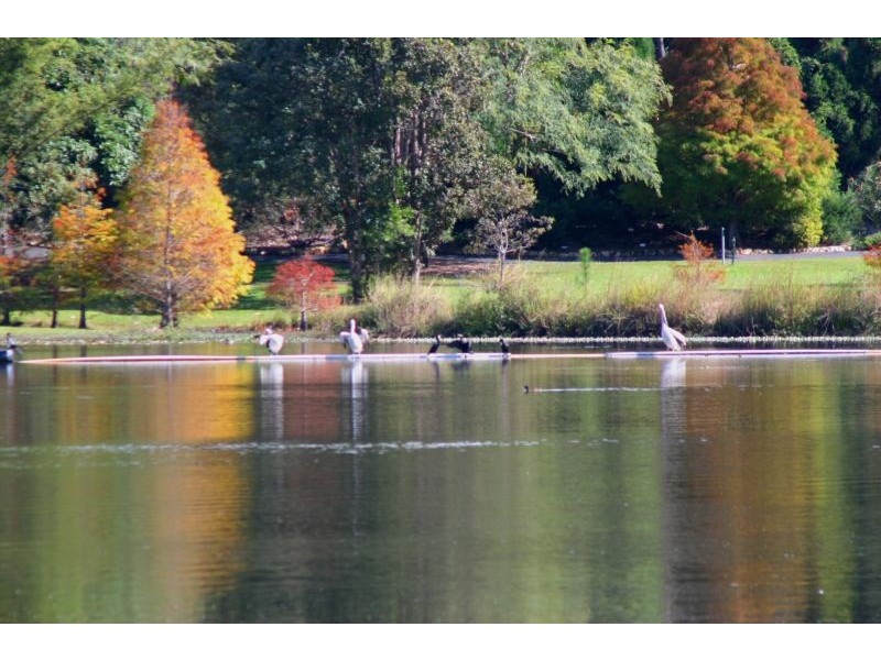 332 Lake Macdonald Drive, Lake Macdonald QLD 4563