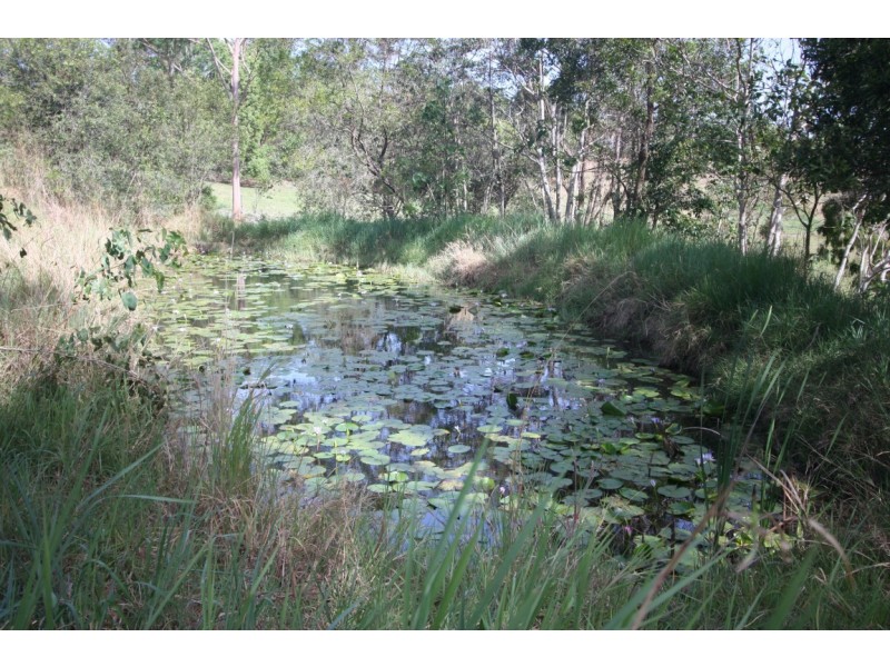 106 Eumundi Range Road, Eumundi QLD 4562