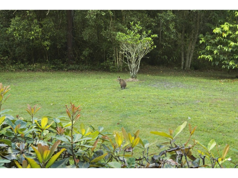 355 Jampot Creek Road, Cooran QLD 4569