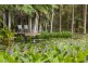 478 Dath Henderson Road, Tinbeerwah QLD 4563