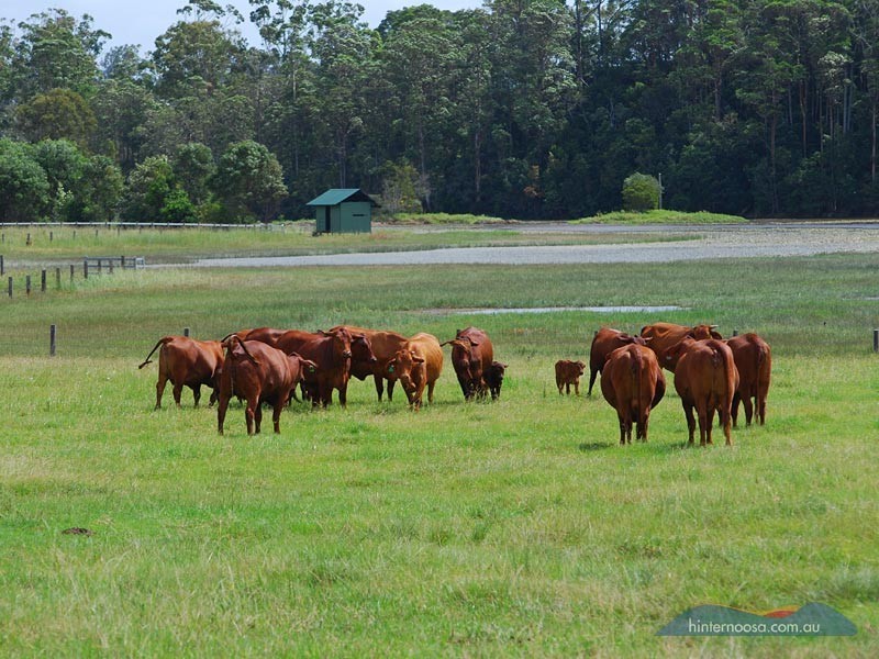 2 Grange Road, Tinbeerwah QLD 4563