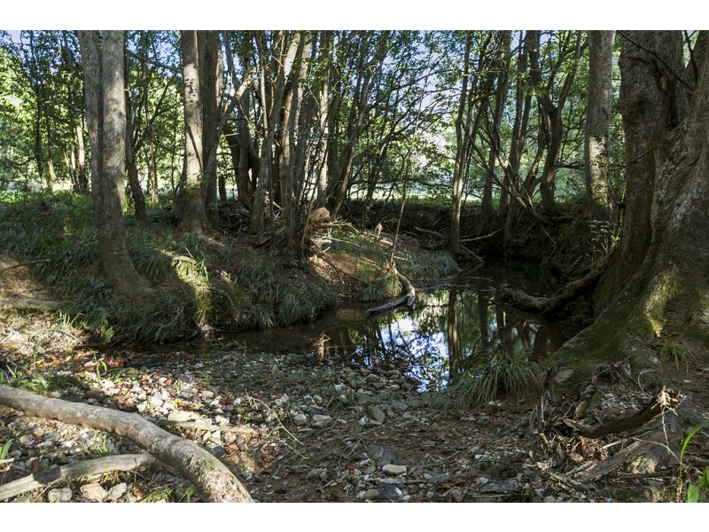 111 Uhlmanns Road, Black Mountain QLD 4563