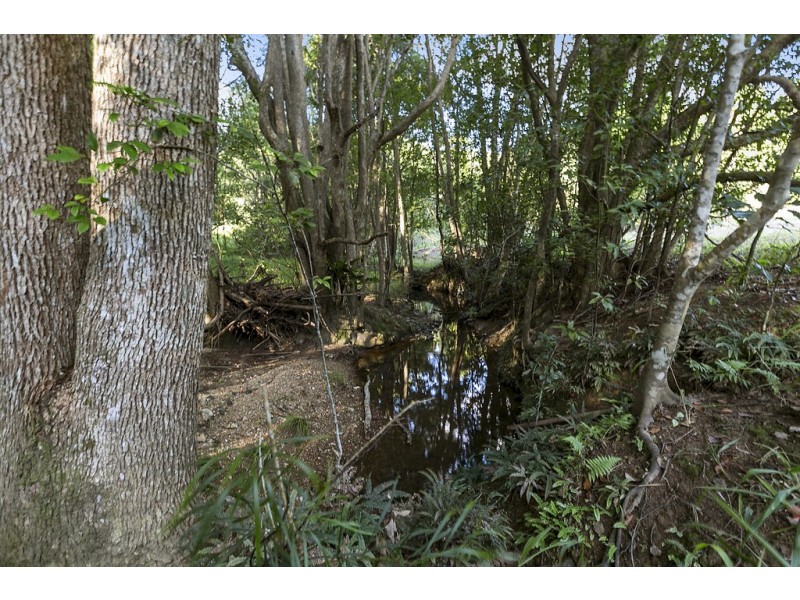 111 Uhlmanns Road, Black Mountain QLD 4563