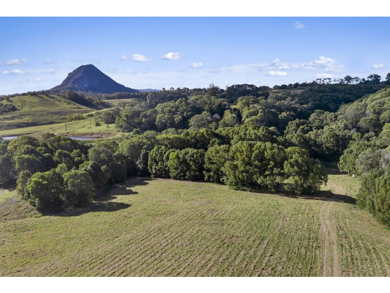 111 Uhlmanns Road, Black Mountain QLD 4563