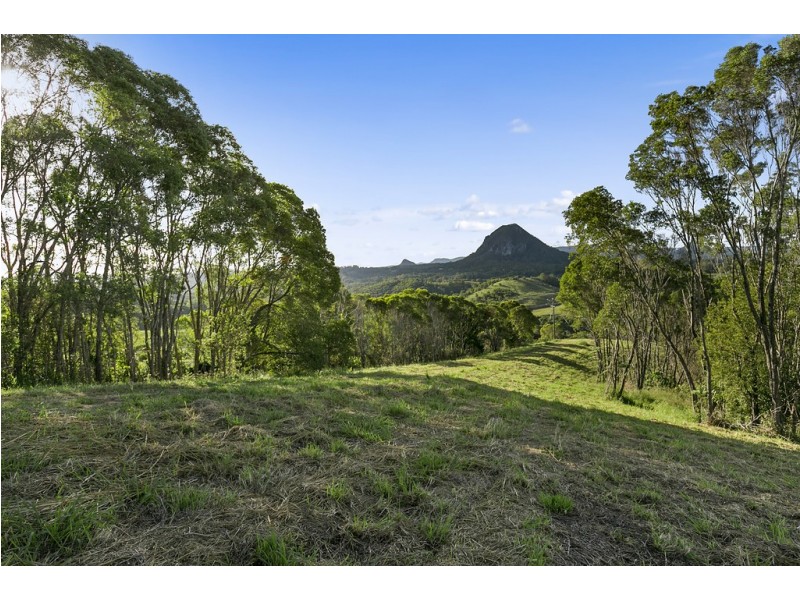 111 Uhlmanns Road, Black Mountain QLD 4563