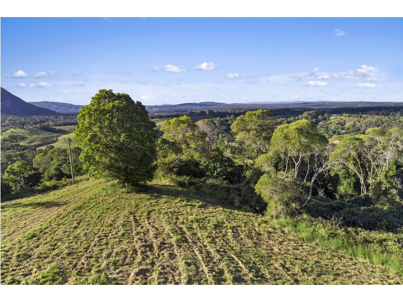 111 Uhlmanns Road, Black Mountain QLD 4563