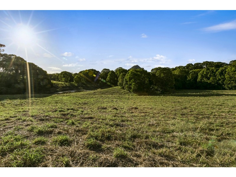 111 Uhlmanns Road, Black Mountain QLD 4563