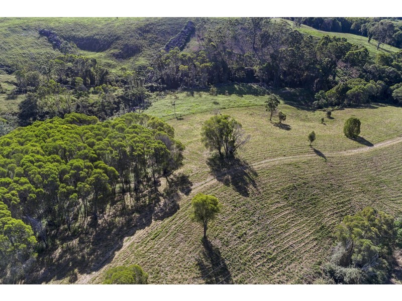 111 Uhlmanns Road, Black Mountain QLD 4563