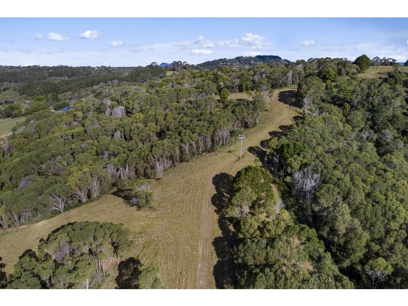 111 Uhlmanns Road, Black Mountain QLD 4563