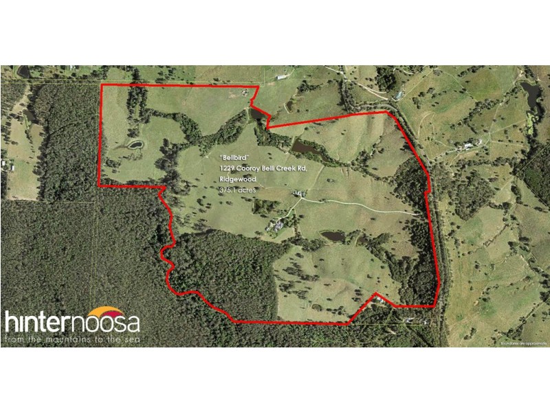 1229 Cooroy-Belli Creek Road, Ridgewood QLD 4563