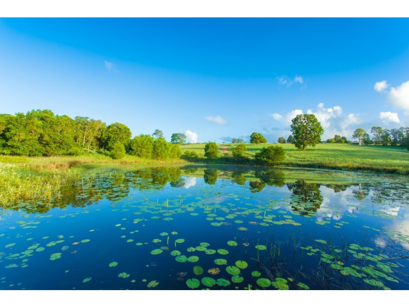 1229 Cooroy-Belli Creek Road, Ridgewood QLD 4563