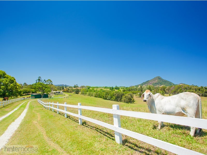142 Cooroy Mountain Road, Cooroy QLD 4563
