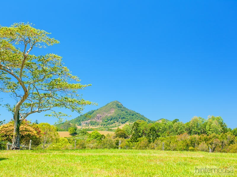 142 Cooroy Mountain Road, Cooroy QLD 4563