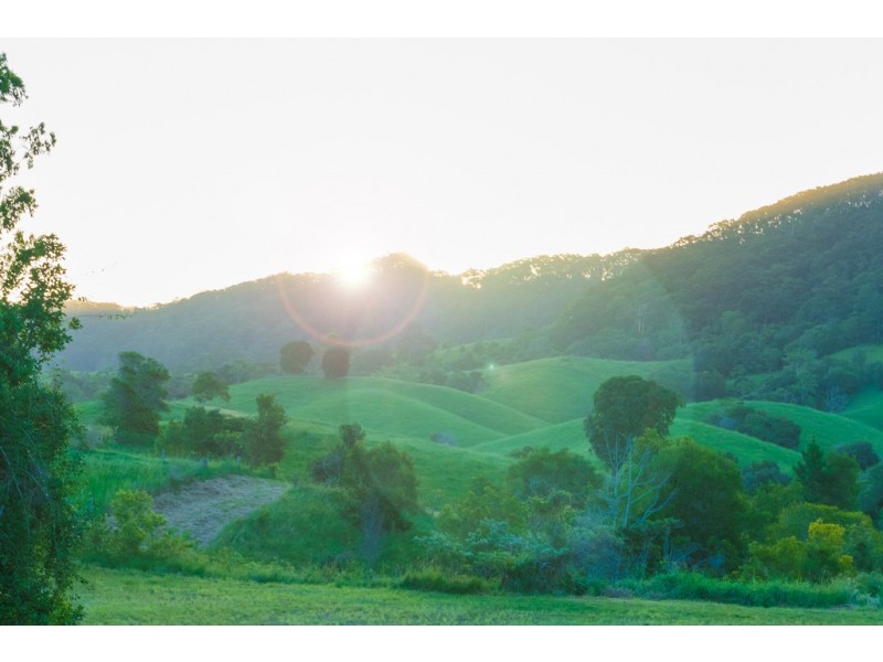 205 Larneys Lane, Eerwah Vale QLD 4562