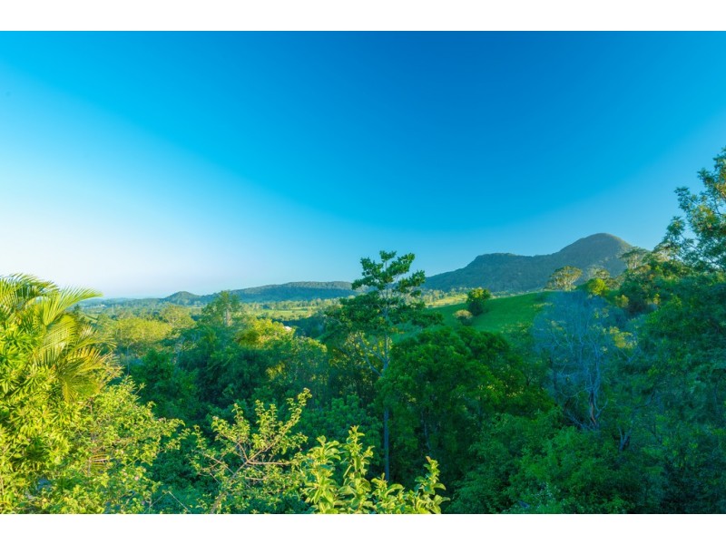 205 Larneys Lane, Eerwah Vale QLD 4562