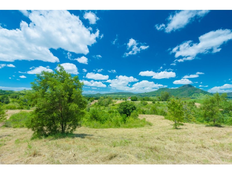 205 Larneys Lane, Eerwah Vale QLD 4562