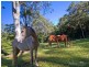 37 Venning Road, Eumundi QLD 4562