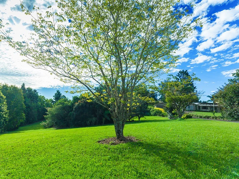 9 Kimberley Court, Eumundi QLD 4562