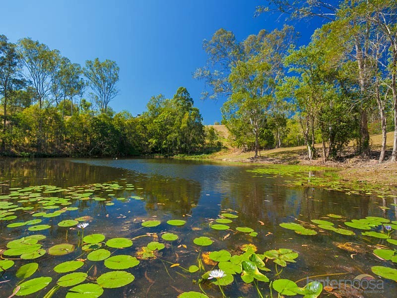 110 Cash Road, Eumundi QLD 4562