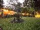 Doonan QLD 4562