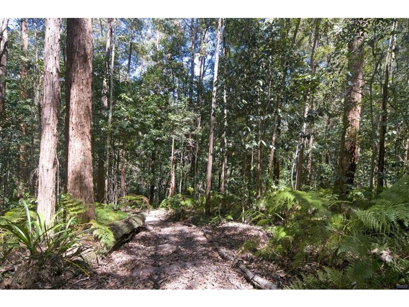 26 Greenacre Road, Eumundi QLD 4562