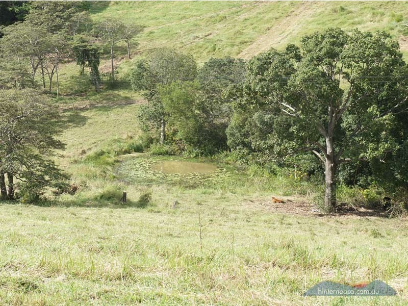 Lot 52, 141a Cooroy Belli Creek Rd, Cooroy QLD 4563