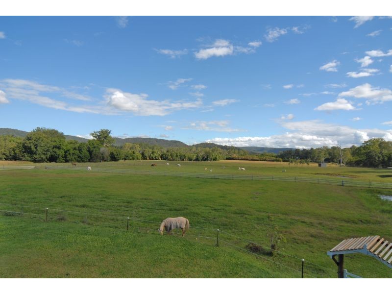 Eumundi QLD 4562