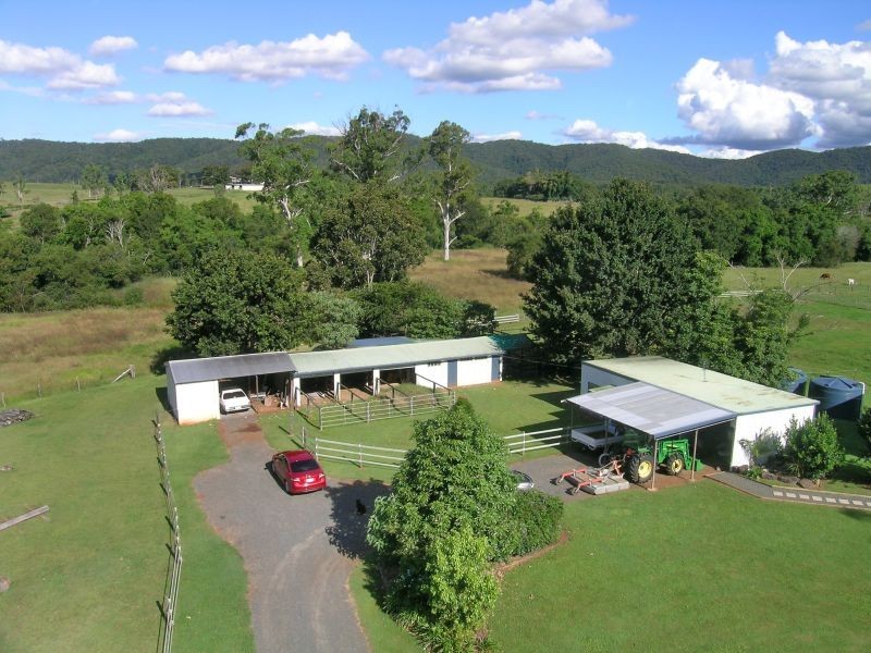 Eumundi QLD 4562