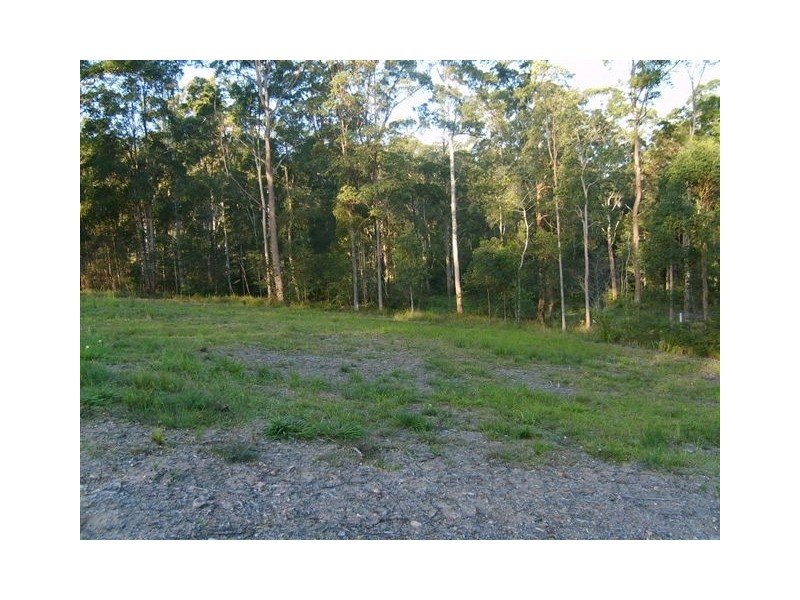 Eumundi QLD 4562