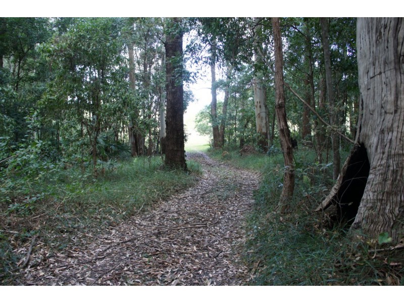 39 Tinbeerwah Road, Tinbeerwah QLD 4563