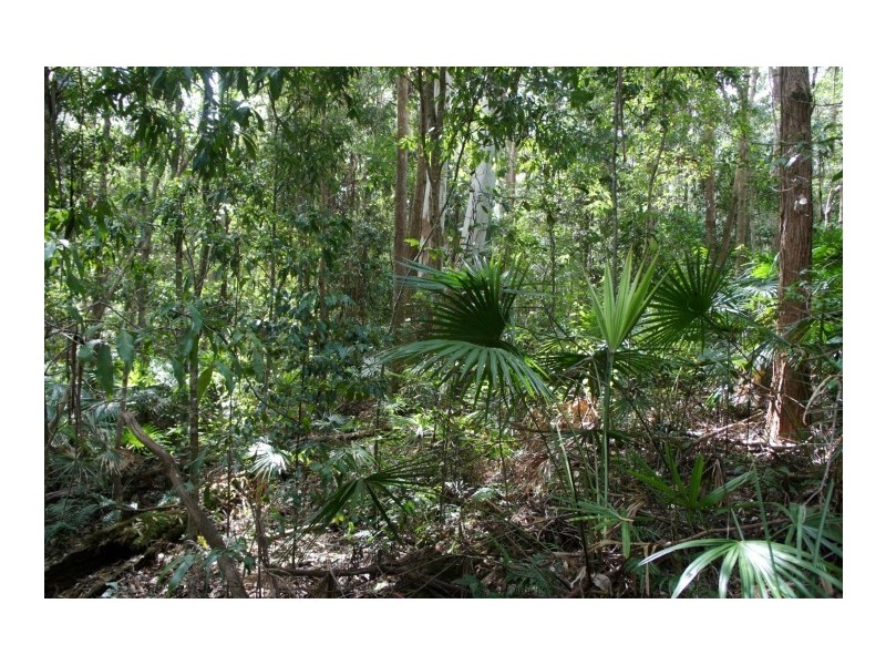 39 Tinbeerwah Road, Tinbeerwah QLD 4563