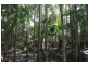 39 Tinbeerwah Road, Tinbeerwah QLD 4563