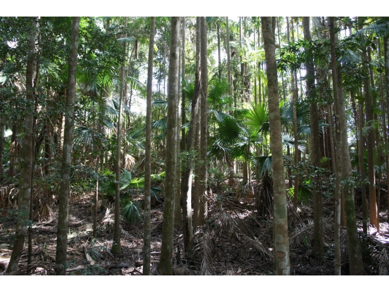 39 Tinbeerwah Road, Tinbeerwah QLD 4563