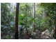 39 Tinbeerwah Road, Tinbeerwah QLD 4563