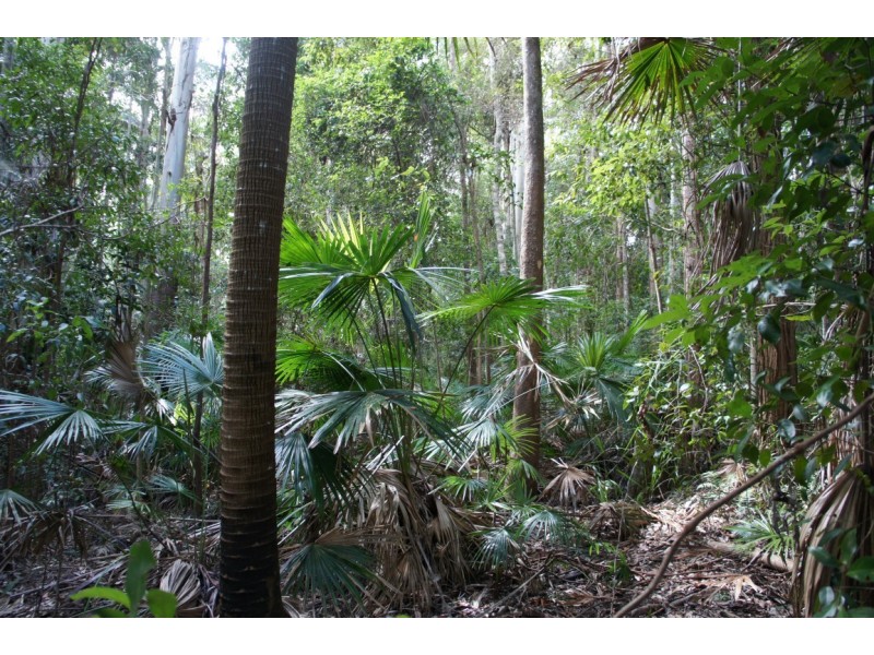 39 Tinbeerwah Road, Tinbeerwah QLD 4563
