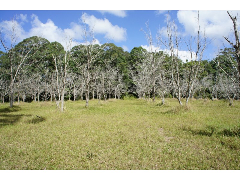 39 Tinbeerwah Road, Tinbeerwah QLD 4563