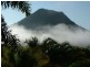 Eumundi QLD 4562