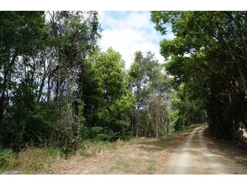 231 Ocean View Road, Cooroy QLD 4563