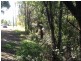 231 Ocean View Road, Cooroy QLD 4563