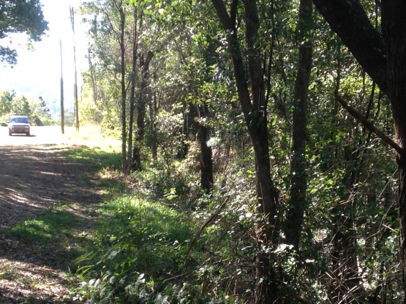 231 Ocean View Road, Cooroy QLD 4563