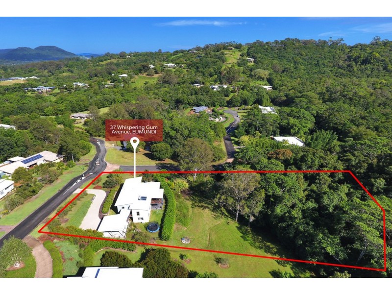 37 Whispering Gum Avenue, Eumundi QLD 4562