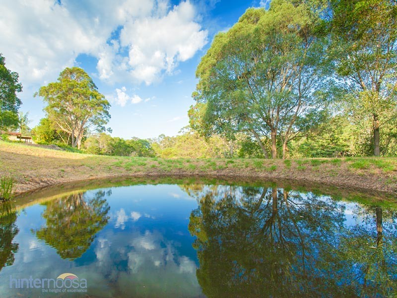 Black Mountain QLD 4563