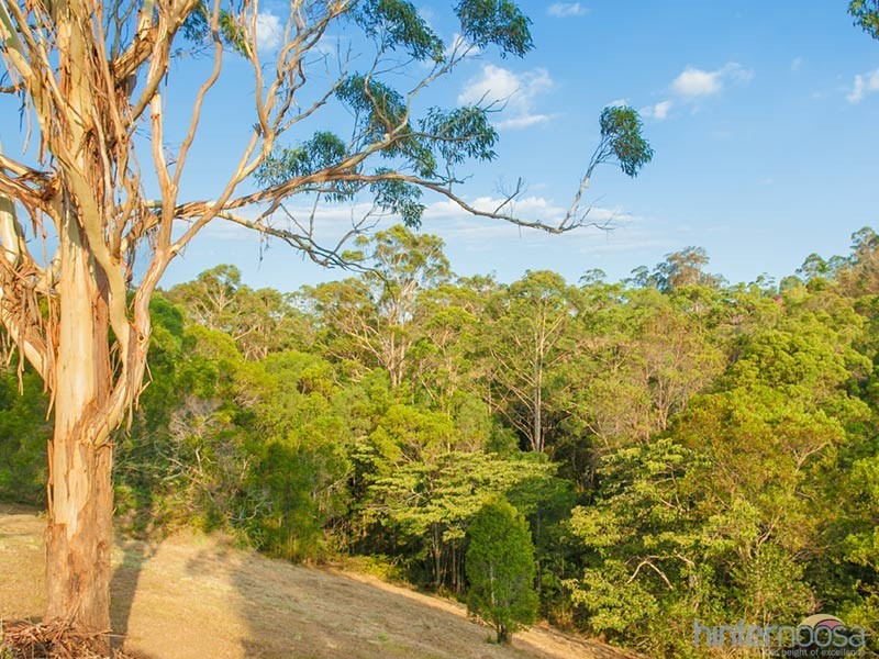 Black Mountain QLD 4563